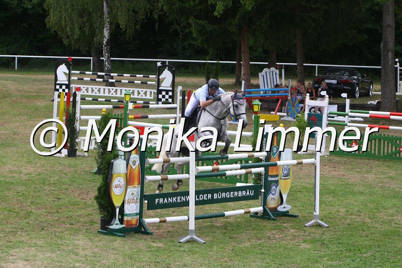 308M5504_Spring Sx.JPG